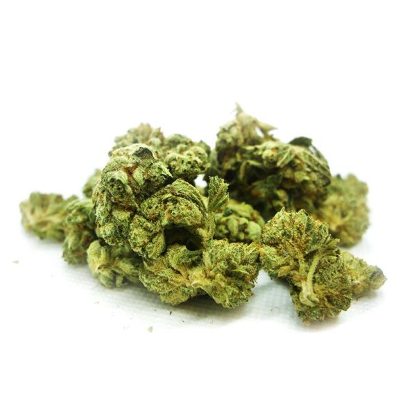 GORILLA GLUE #4