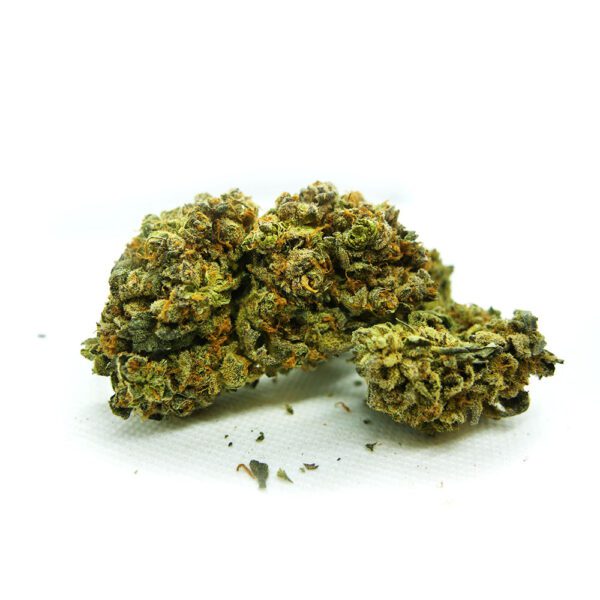 GODFATHER OG