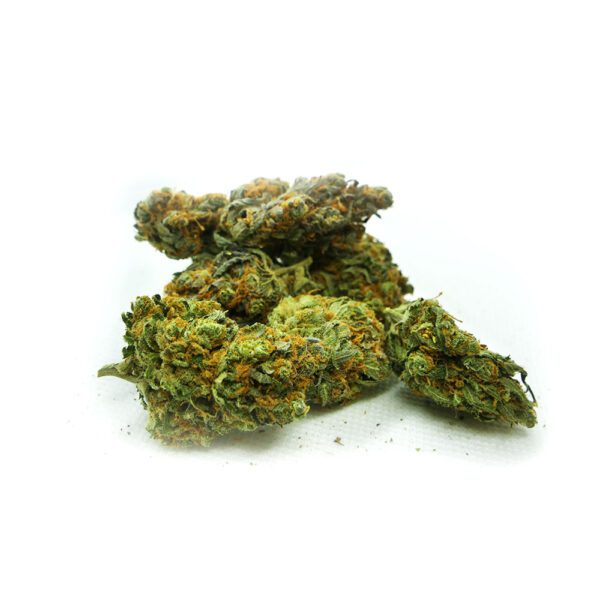 GORILLA GLUE