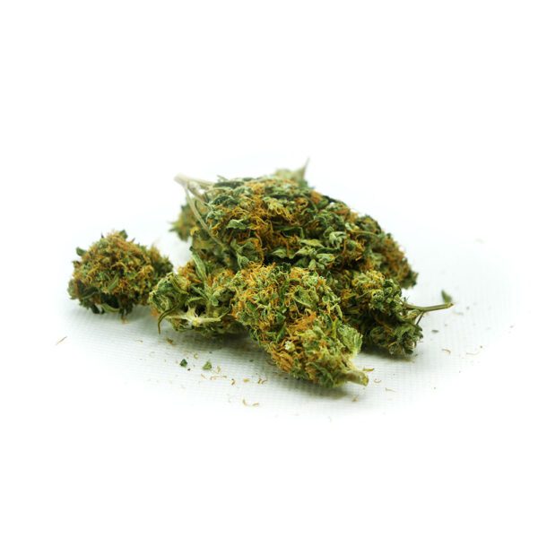 KING GORILLA