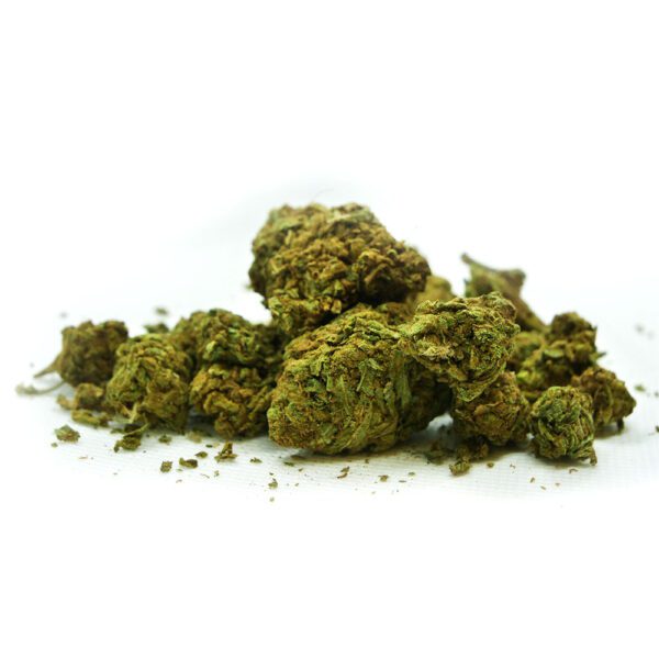 ZOMBIE OG