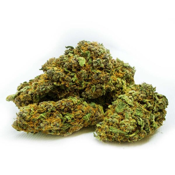 CRYSTAL GELATO