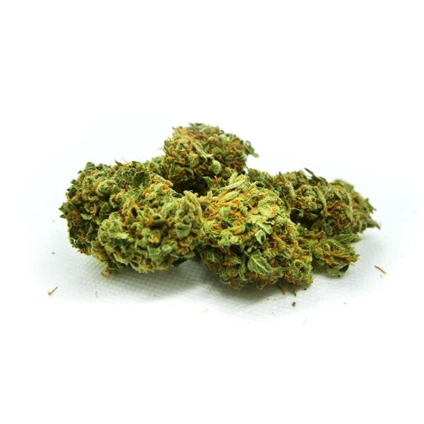 LOUIS XIII