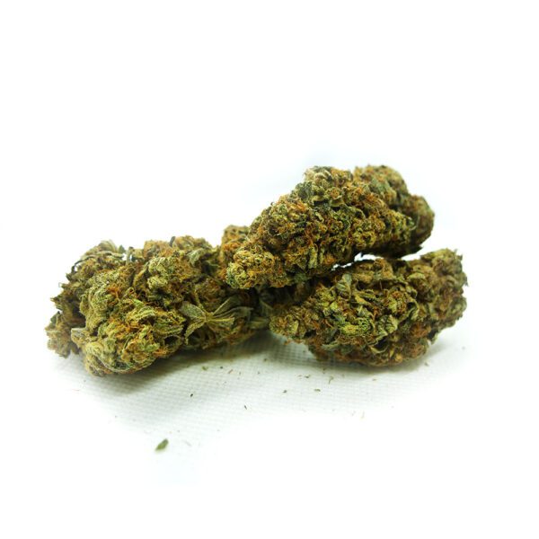 MK ULTRA