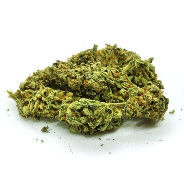 PURPLE URKLE