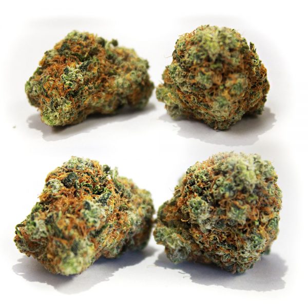 ORANGE CRUSH