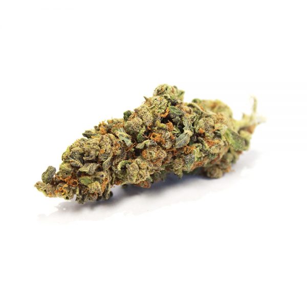 SHERBET COOKIES