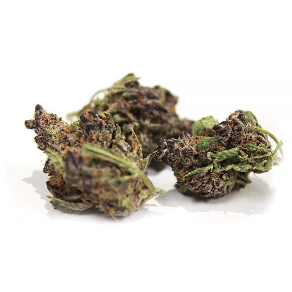 TROPICANA COOKIES