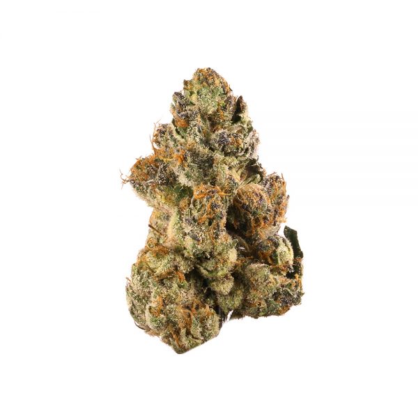 APPLE GELATO