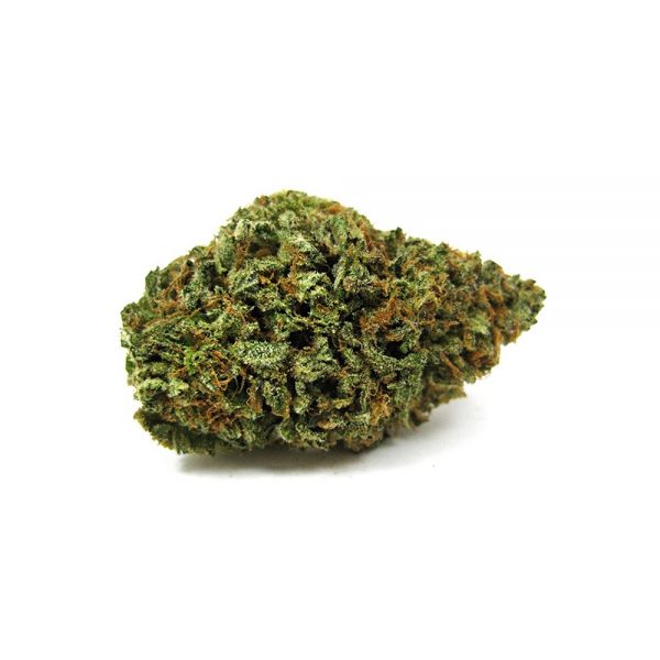 MENDO BREATH