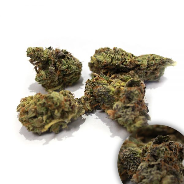 TASTY KUSH