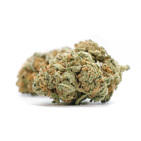 ZOMBIE KUSH