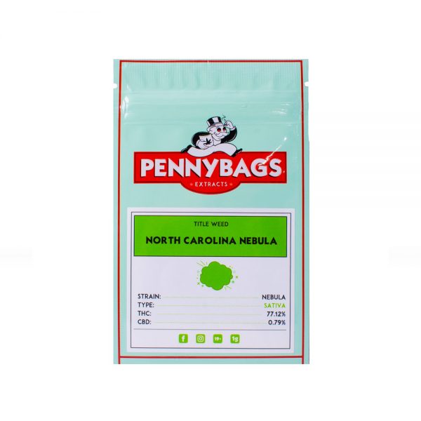 PENNYBAGS - SHATTER - Image 4