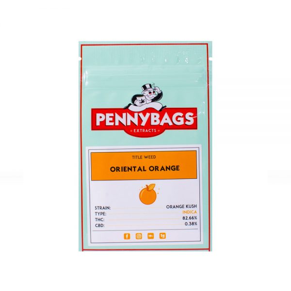 PENNYBAGS - SHATTER - Image 5