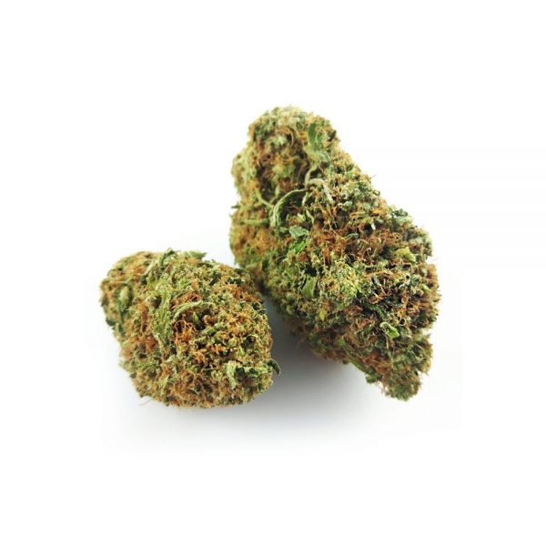 PINK BUBBA