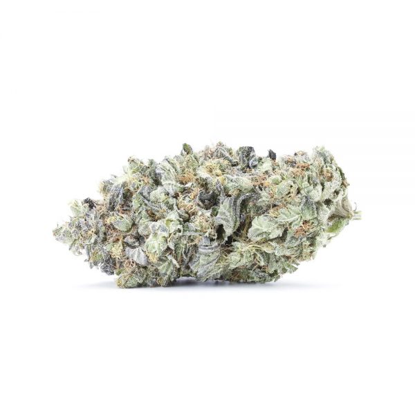 BLUEBERRY GRAPEVINE