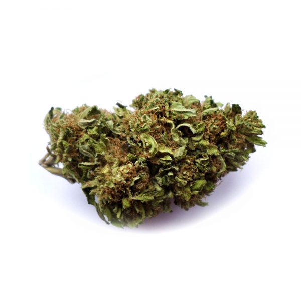 BLUE CHEESE
