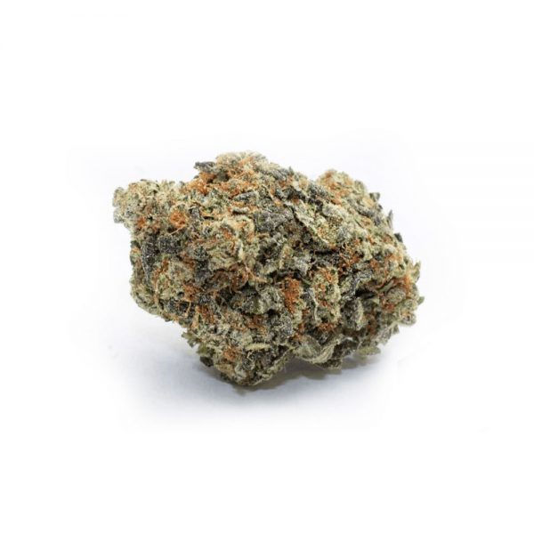 MIMOSA