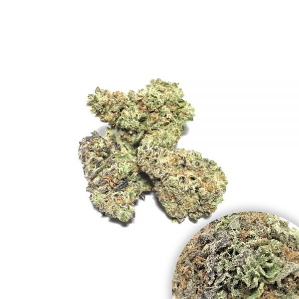 PURPLE PUNCH