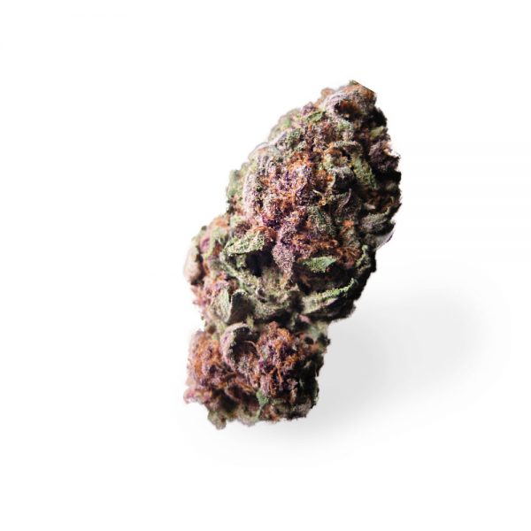 PURPLE QUEEN
