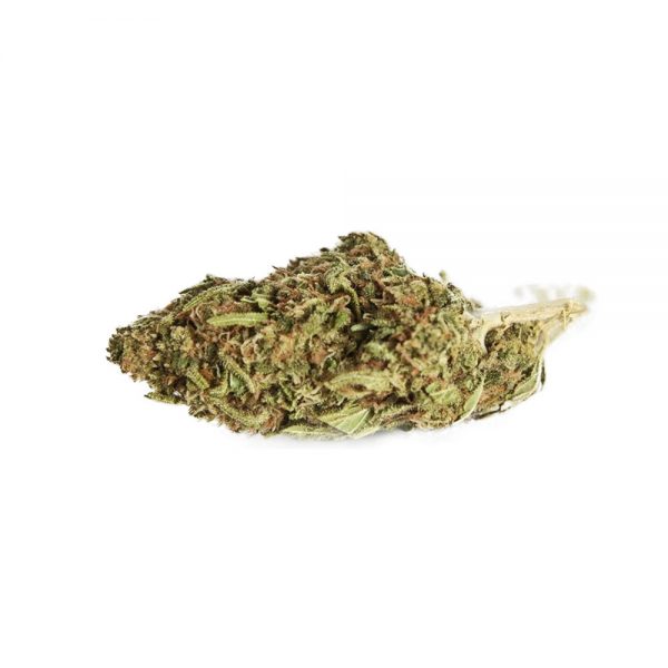 RASTA