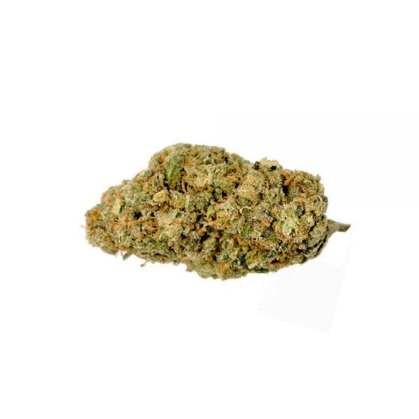 RED CONGO