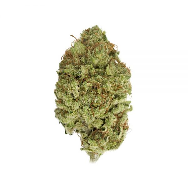 VIOLATOR KUSH