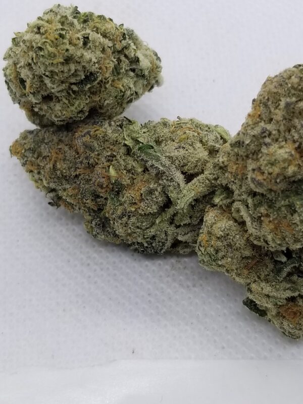 BISCOTTI (AAAA)