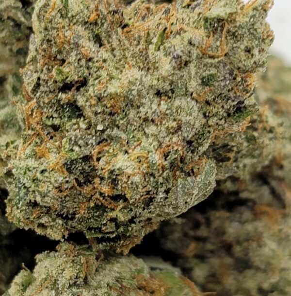 TRAINWRECK (AAA) - Image 2