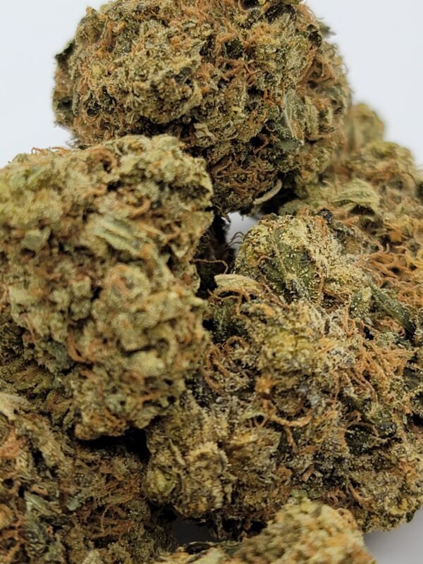 PLATINUM ROCKSTAR (AA) - Image 2