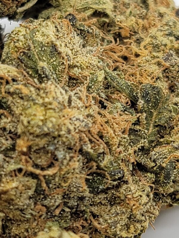 PLATINUM ROCKSTAR (AA) - Image 3