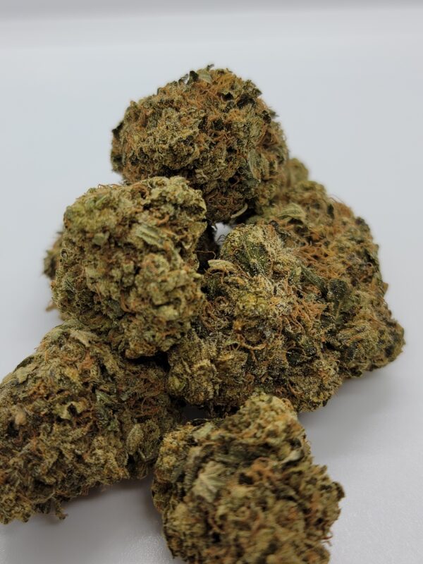 PLATINUM ROCKSTAR (AA)