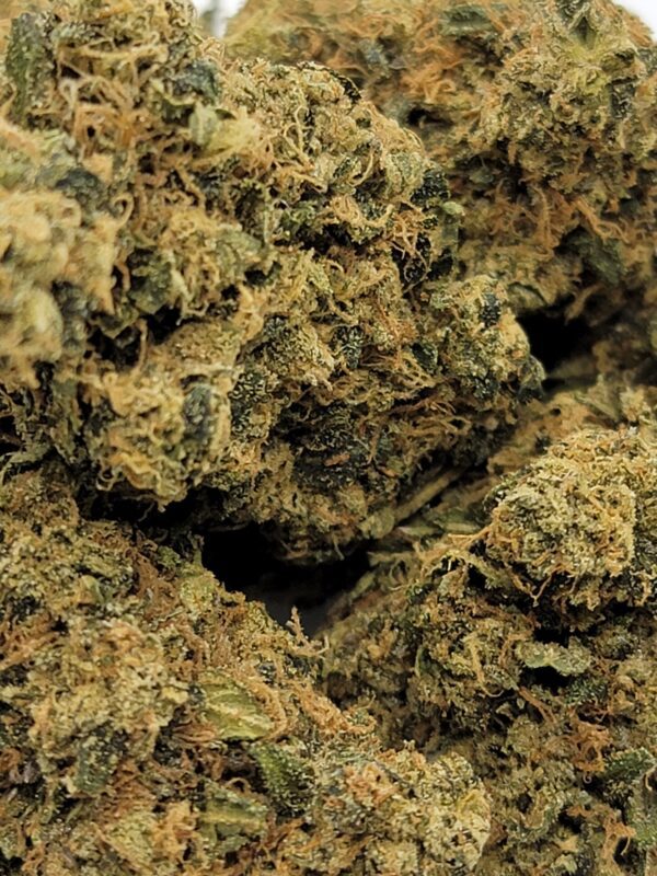 PINK CRUSH (AA) - Image 2