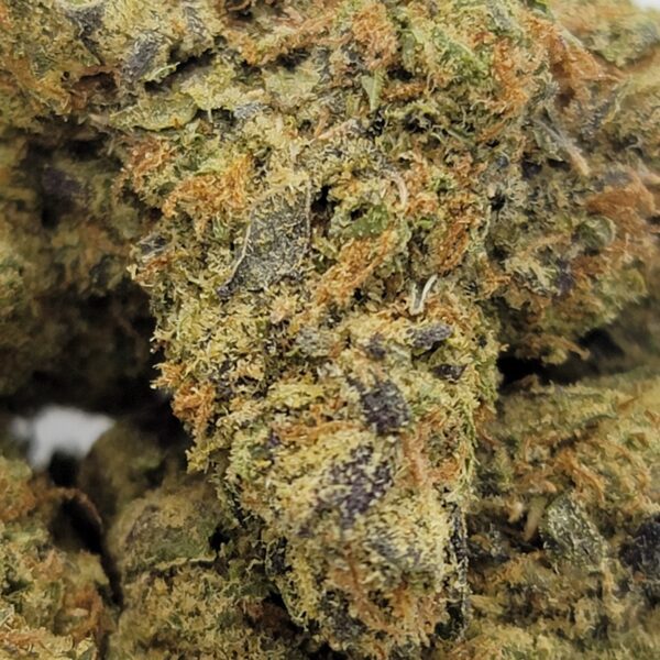 BLUE PAPAYA PIE (AAAA) - Image 2