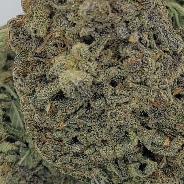 HAWAIIAN PUNCH (A) - Image 2