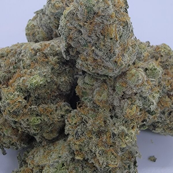 DURBAN PUNCH (AAAA)