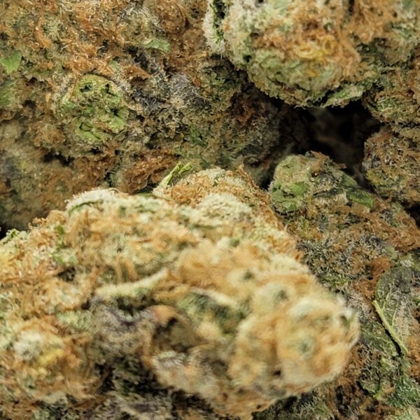 BRUCE BANNER (AAAA) - Image 2