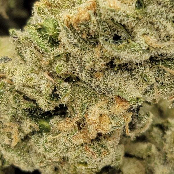 BLACK KRAKEN (AAAA) - Image 3