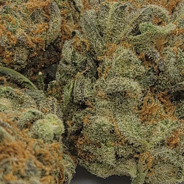 SOUR BANANA  (AA) - Image 2