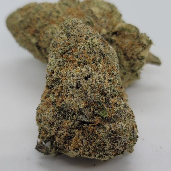 CRITICAL PLUS 2.0 (AA)