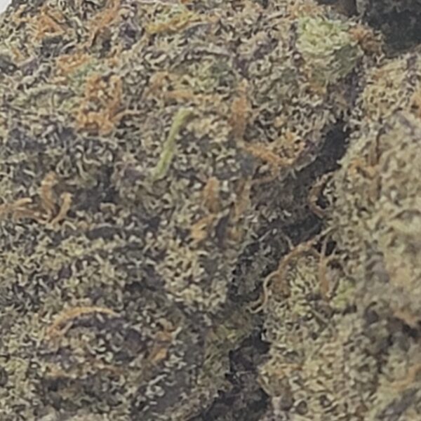 FRUIT PUNCH (AAA) - Image 3