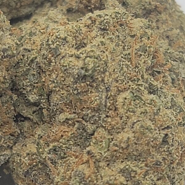 SOUR GRAPE (AAA) - Image 3
