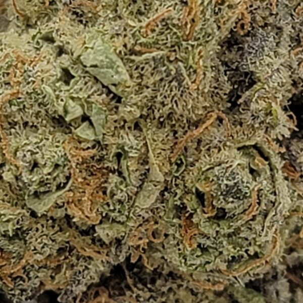 PEYOTE COOKIES (A) - Image 3