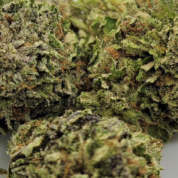 ROCKSTAR (AAA) - Image 3
