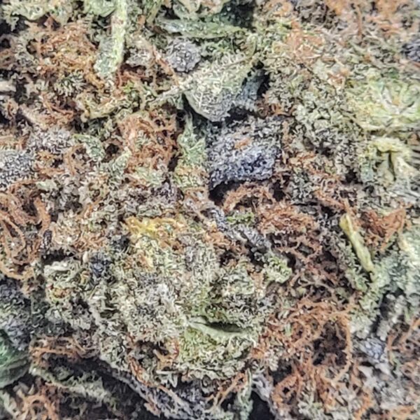 ROCKET FUEL (AAA) - Image 3