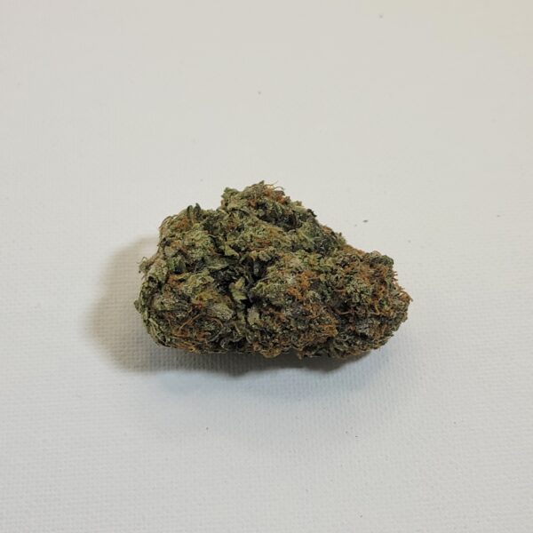 GREASE MONKEY  (AA)