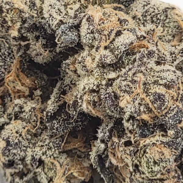 DURBAN POISON (AAA) - Image 3