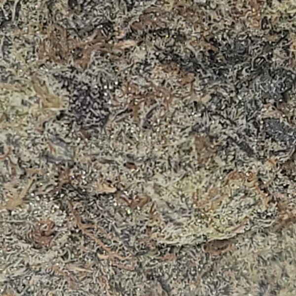 DONKEY BUTTER (AAAA) - Image 3