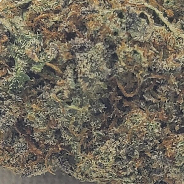 NEBULA (AAA) - Image 3