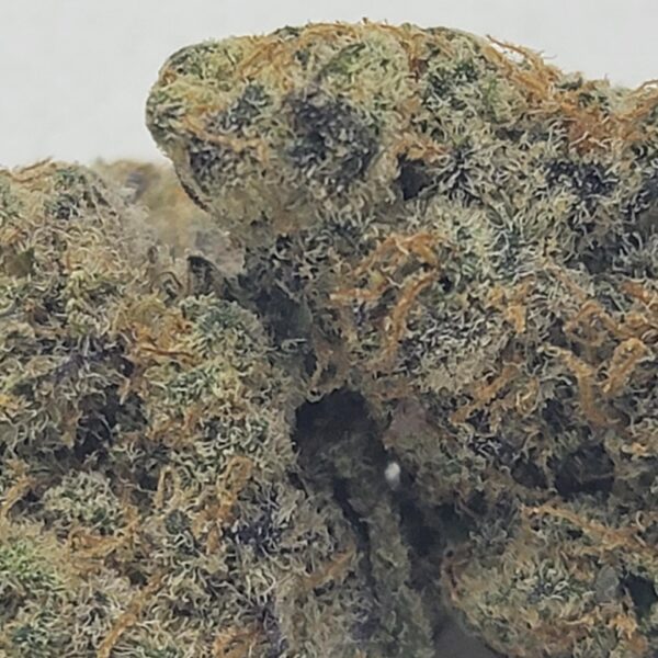 APE IN SPACE (AAA) - Image 3